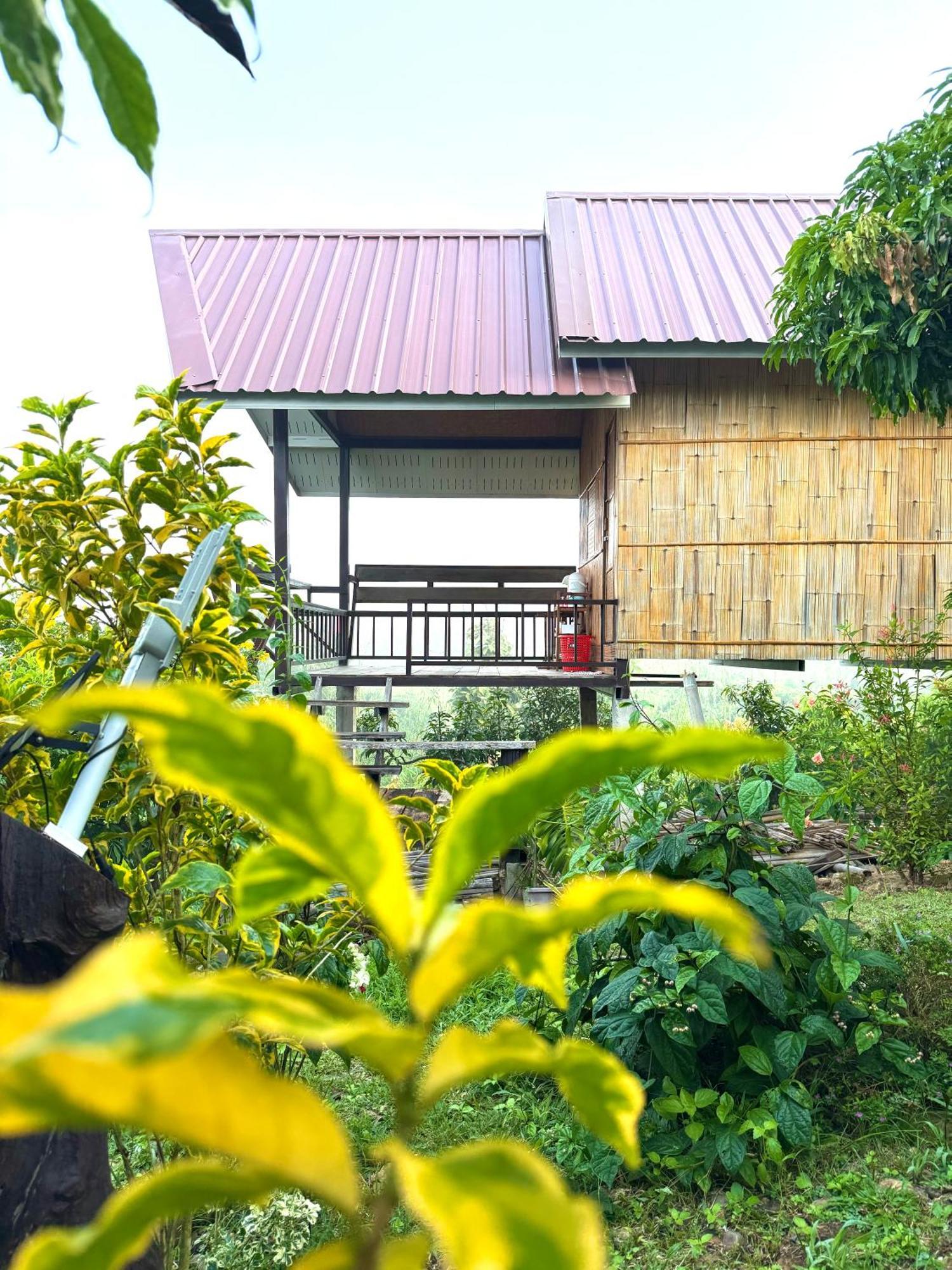 Doicherngngam Home Stay Chiang Dao Eksteriør billede